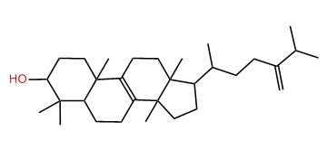 24-Methylene-24,25-dihydrolanosterol