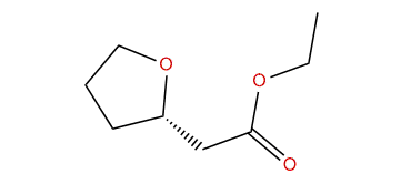 Ethyl (S)-2-(Tetrahydrofuran-2-yl)-acetate