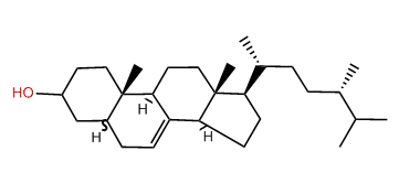 (24S)-24-Methyl-5a-cholest-7-en-3b-ol