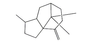 2,3,4,5,6,7,8,8alpha-Octahydro-1,9,9-trimethyl-4-methylene-1H-3alpha,7-methanoazulene