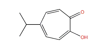2-Hydroxy-5-isopropyl-2,4,6-cycloheptatrien-1-one