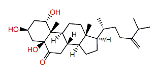 Gibberoketosterol