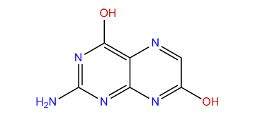 2-Amino-4,7(1H,8H)-pteridinedione