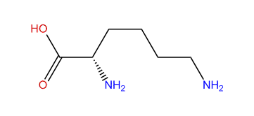 (S)-2,6-Diaminohexanoic acid