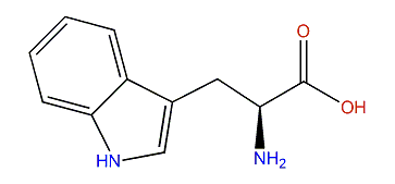 (S)-2-Amino-3-(1H-indol-3-yl)-propanoic acid