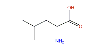 2-Amino-4-methylpentanoic acid