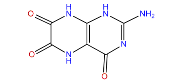 2-Amino-5,8-dihydro-4,6,7(1H)-pteridinetrione