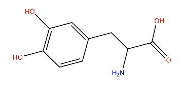 2-Amino-3-(3,4-dihydroxyphenyl)-propanoic acid