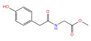 Methyl 2-(2-(4-hydroxyphenyl)-acetamido)-acetate