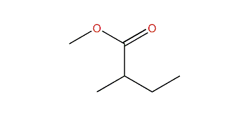 Methyl 2-methylbutanoate