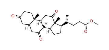 Methyl 3,7,12-trioxocholan-24-oate
