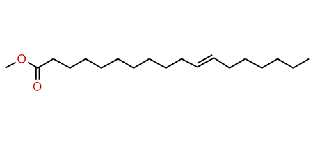 (E)-11-Methyloctadecenoate
