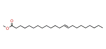Methyl (E)-13-docosenoate