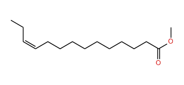 Methyl (Z)-11-tetradecenoate
