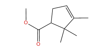 Methyl-alpha-campholytate