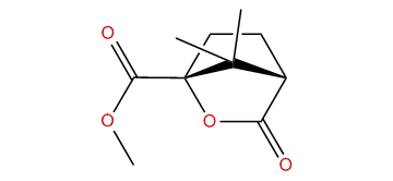 Methyl camphonanate