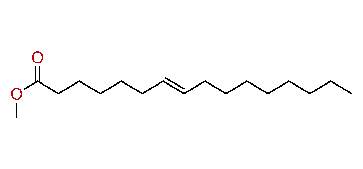 Methyl 7-hexadecenoate