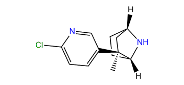 (1R,2R,4S)-2-(6-Chloropyridin-3-yl)-2-methyl-7-azabicyclo[2.2.1]heptane