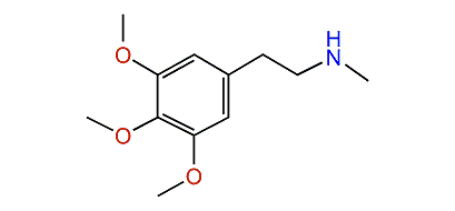 N-Methyl-3,4,5-trimethoxybenzenethanamine