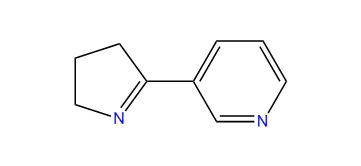3-(3,4-Dihydro-2H-pyrrol-5-yl)-pyridine
