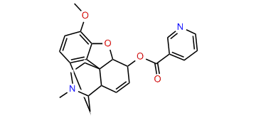 Nicocodine