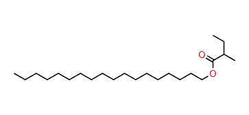 Octadecyl-2-methylbutanoate