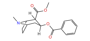 Methyl 3-(benzoyloxy)-8-methyl-8-azabicyclo[3.2.1]octane-2-carboxylate