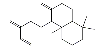 1,1,4alpha-Trimethyl-6-methylene-5-(3-methylene-4-pentenyl)-decahydronaphthalene