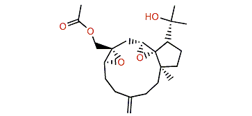 Stolonidiol-17-acetate