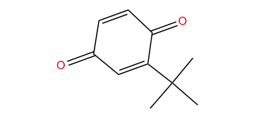 2-tert-Butylcyclohexa-2,5-diene-1,4-dione