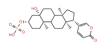 Telocinobufagin-3-O-sulfite