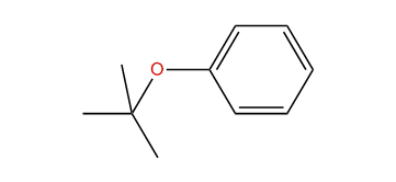 (1,1-Dimethylethoxy)-benzene