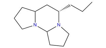 Tetraponerine_2