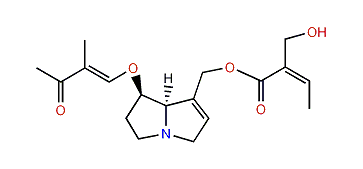 Triangularicinine