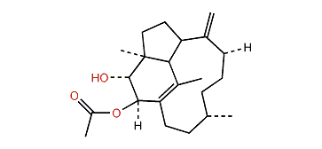 Trinervita-1(15),8(19)-dien-2beta,3alpha-diol-2-O-acetate