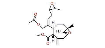Xenitacin