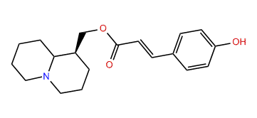 p-Hydroxycinnamoyllupinine